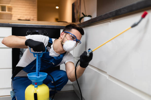 Best Residential Pest Control  in Saratoga Springs, NY
