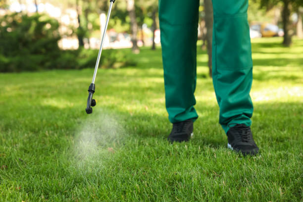 Best Pest Control for Businesses  in Saratoga Springs, NY
