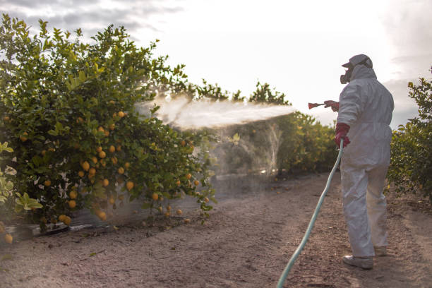 Flea Control Services in Saratoga Springs, NY