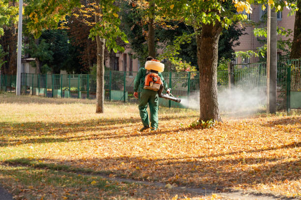 Best Mosquito Control Services  in Saratoga Springs, NY