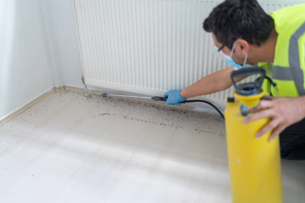 Best Pest Control Cost  in Saratoga Springs, NY